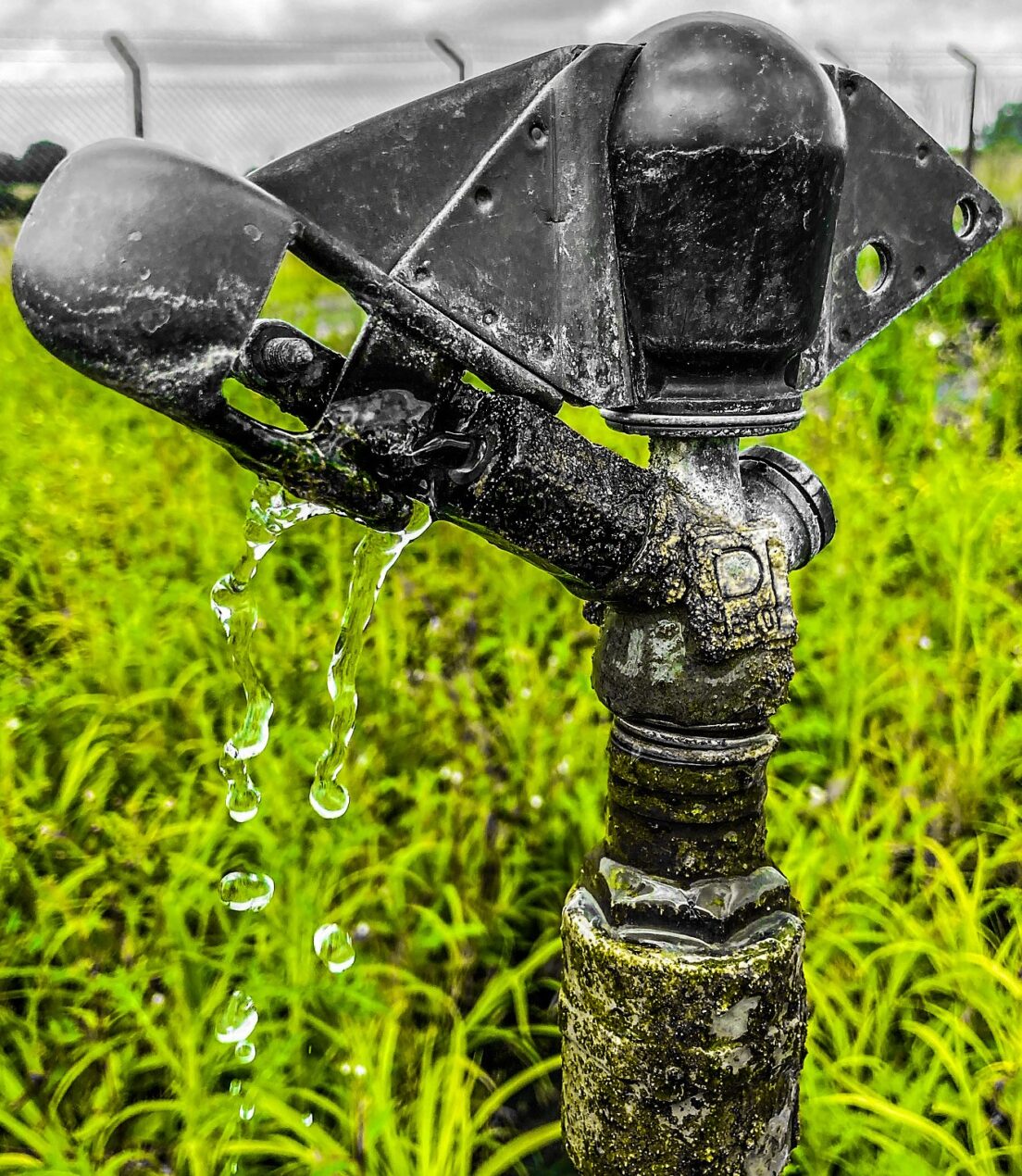 viridis blog post water tap